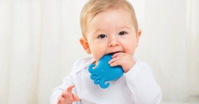 Berbagai Alasan Kenapa Bayi Suka Menggigit dan Cara Mengatasinya